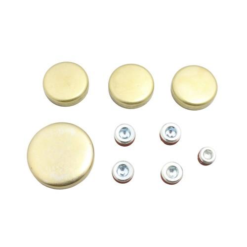 1993 Ford Ranger 2.3L Expansion Plug