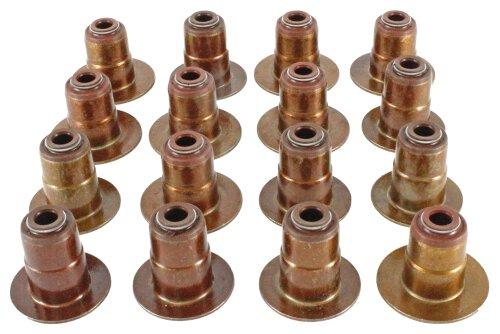 2008 Chrysler 300 6.1L Valve Stem Seal