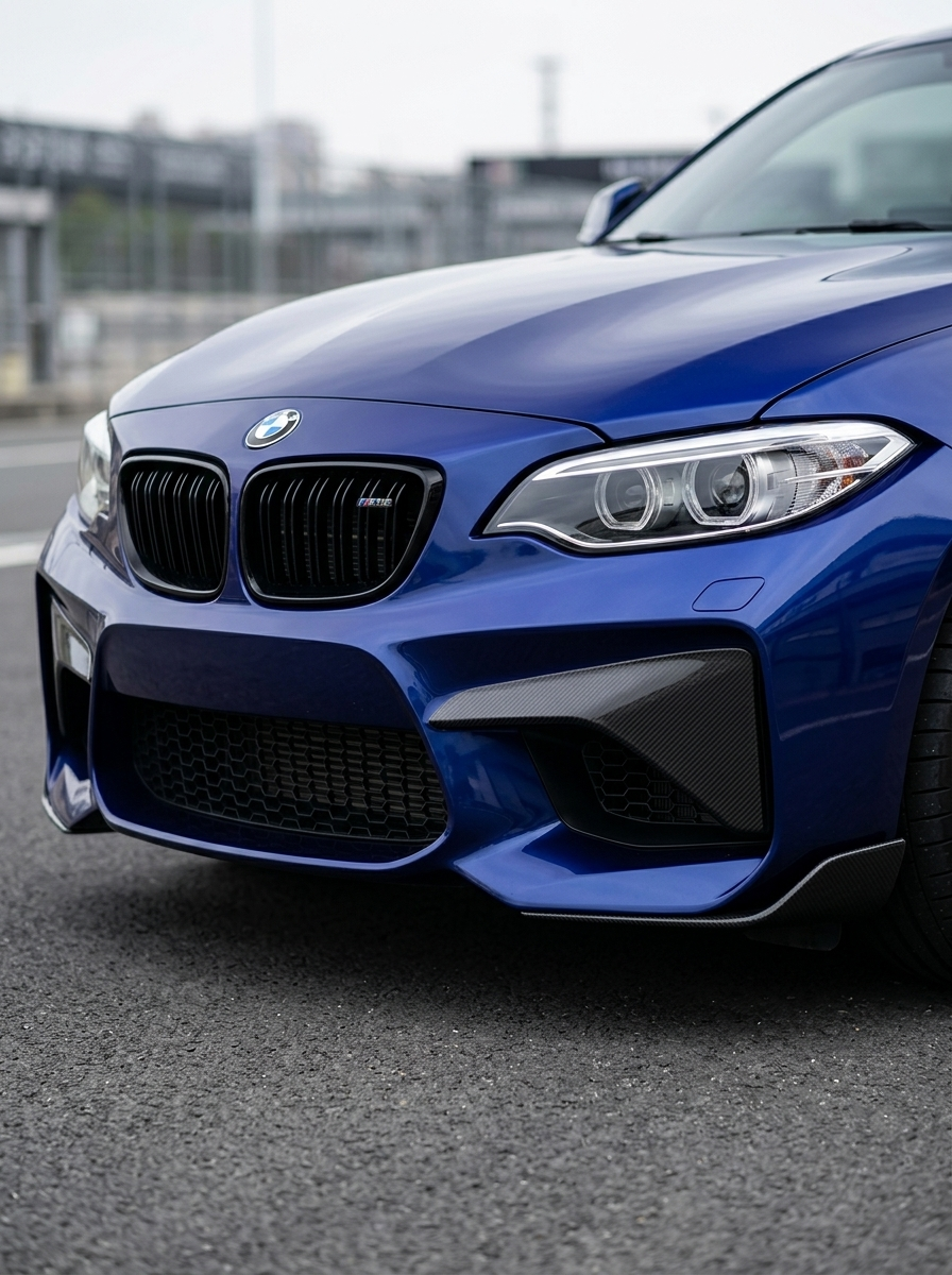 BMW 2 Series M2 F87 Carbon Fiber Front Flaps (2014 - 2021)