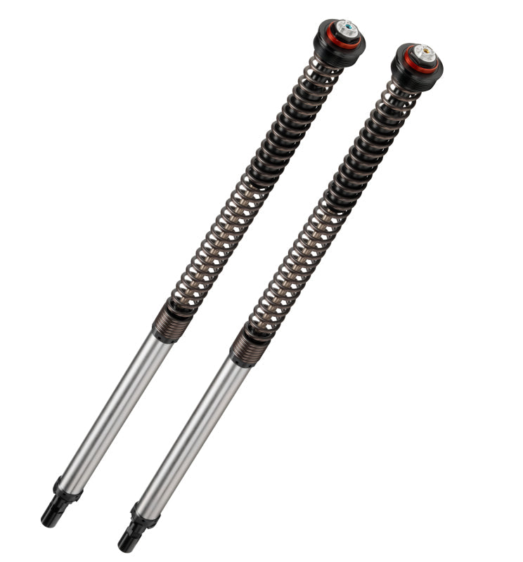 Bitubo Suspension Bitubo JBHV2 Cartridge Adjustable: Spring Preload, Rebound, Compression + 2 Lt. Oil, Red Ring BW055JBH01V2