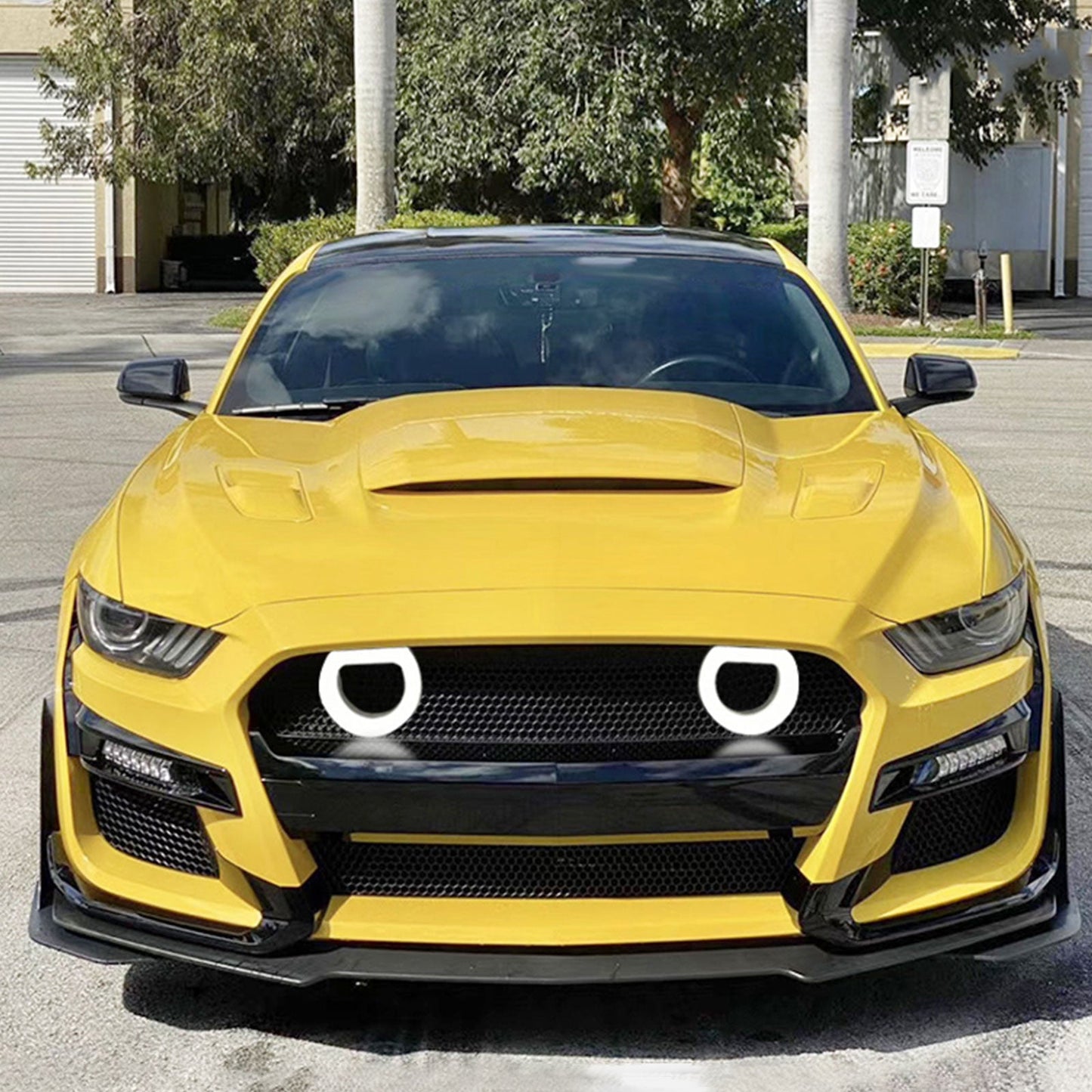 2015-2017 Mustang GT500 Front Bumper Painted