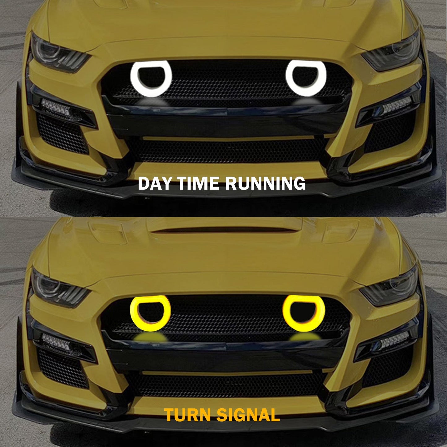 2015-2017 Mustang GT500 Front Bumper Painted
