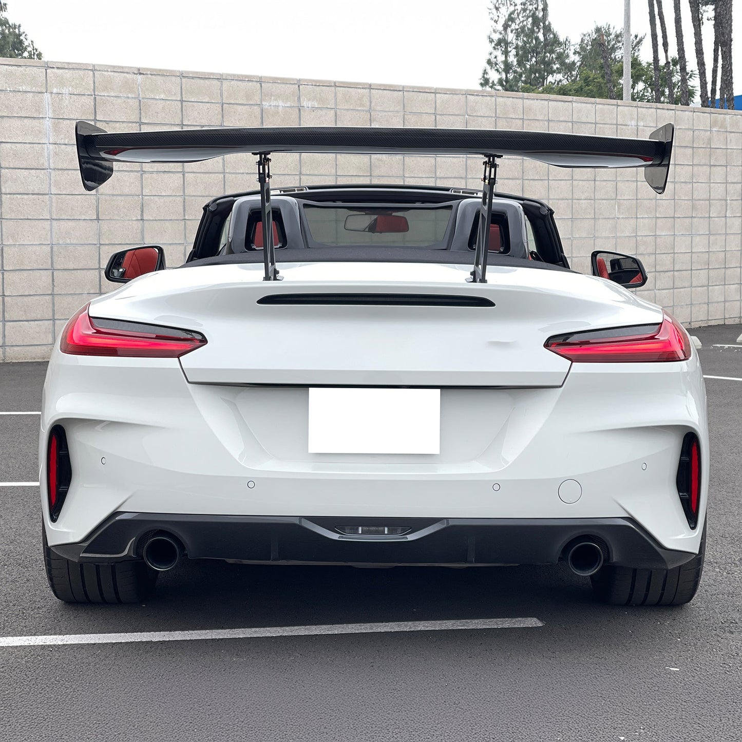 57'' 12" Height Drag Trunk Spoiler V2 Side Plates V6 Legs Carbon Fiber