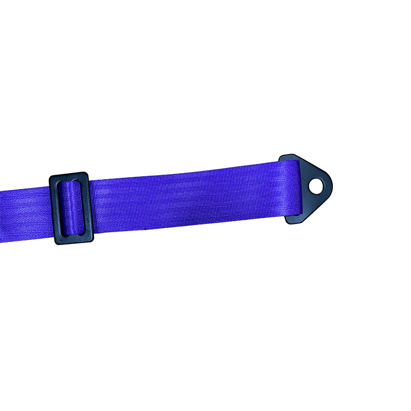 Universal Purple 2" 4 Point Buckle Racing Seat Belt Harness Nylon