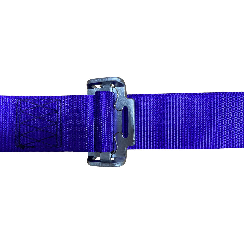 Universal 4 Point Cam-Lock Purple Racing Harness Seat Belt Nylon