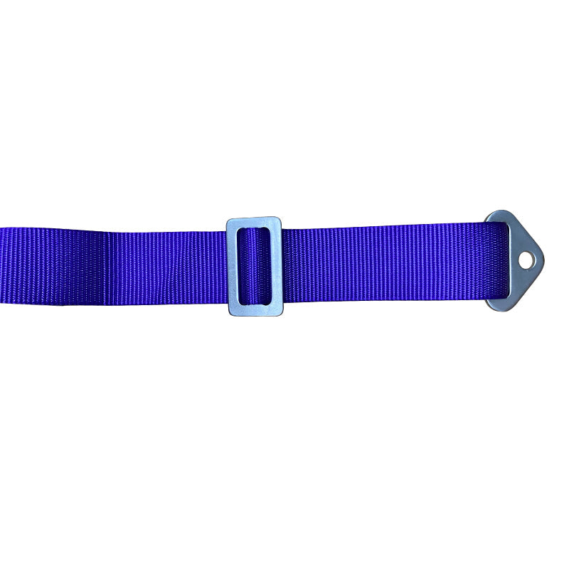 Universal 4 Point Cam-Lock Purple Racing Harness Seat Belt Nylon