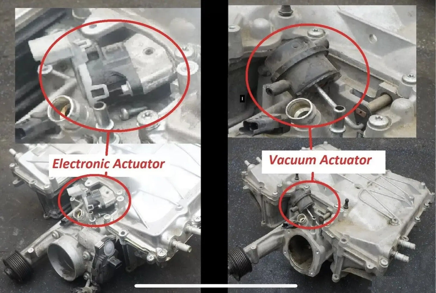 Jaguar XJ / XF / F-Type / Land Rover Range Rover 5.0L V8 Nylon Supercharger Coupler 2009 - 2013