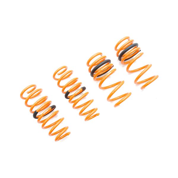 Megan Racing Lowering Springs RWD for Tesla Model 3 2017+ Front Drop -35mm Rear Drop -21mm MR-LS-TSL17