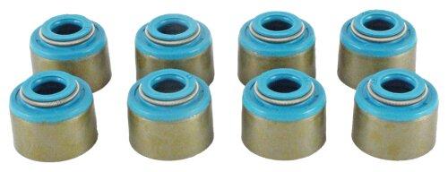 1999 Jeep Cherokee 2.5L Valve Stem Seal