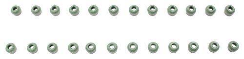 2016 Dodge Charger 3.6L Valve Stem Seal